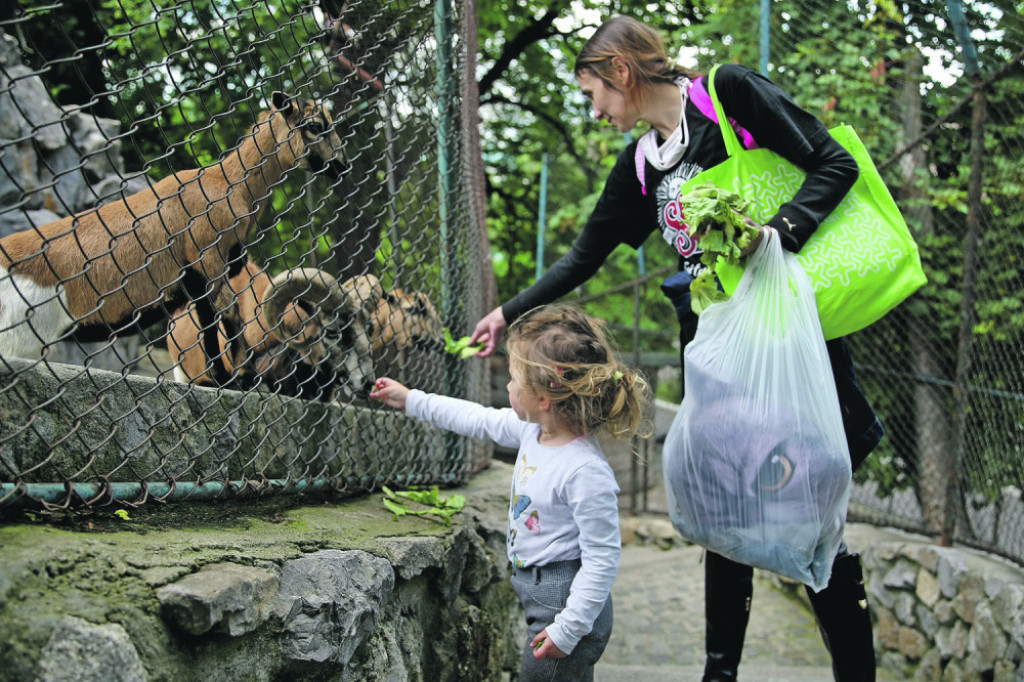 Stanarima je najdragocenija ljubav koju dobijaju od posetilaca
