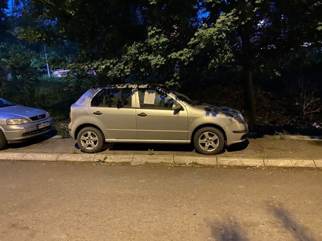 Automobili, kazne, parkiranje