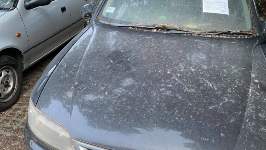 Vozilo; Parkiranje; Kazna