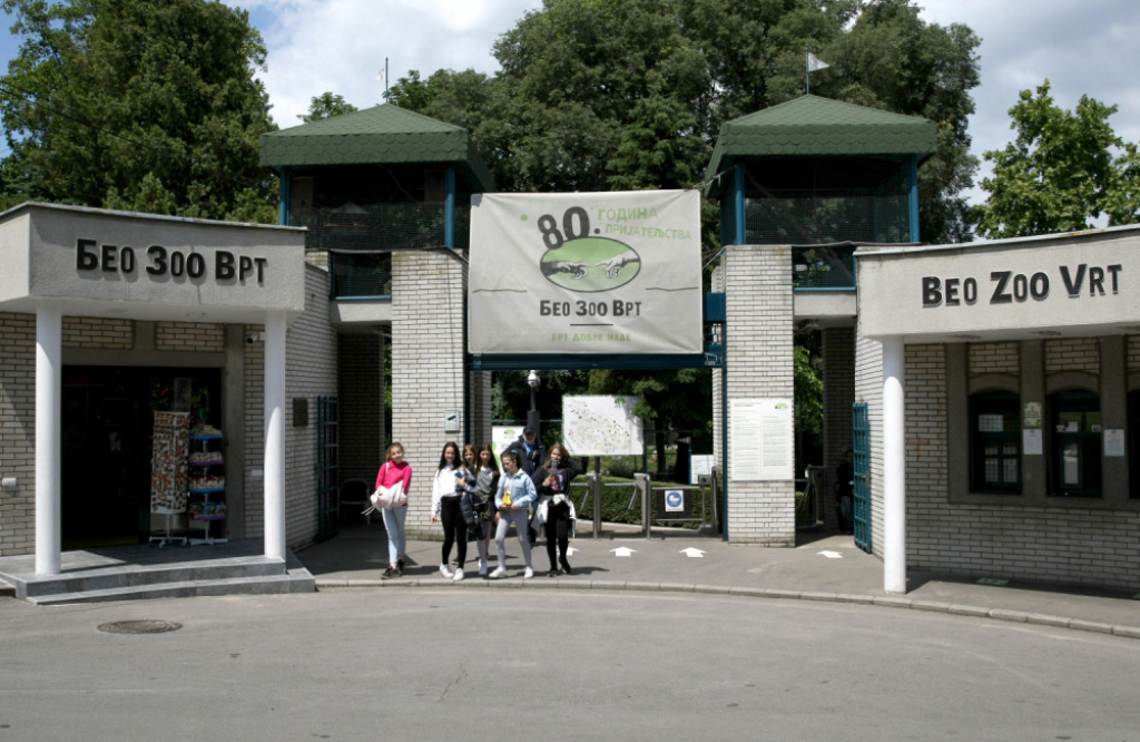 Zoo u Beogradu