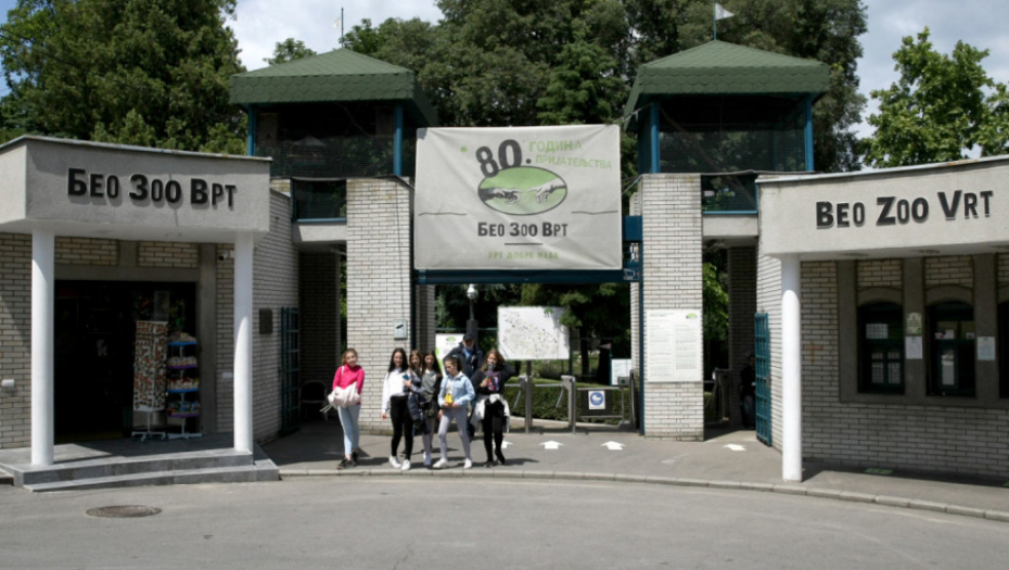 Zoo u Beogradu