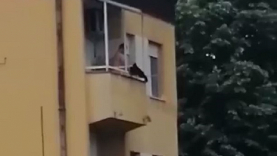 Muškarac muči mačku