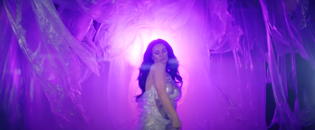 Vi&scaron;nja Petrović