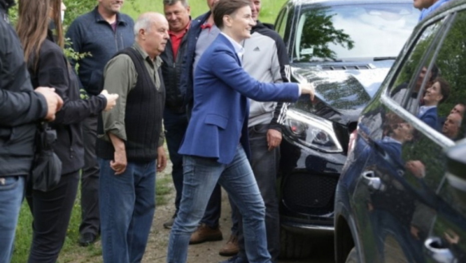 Ana Brnabić; Babušnica