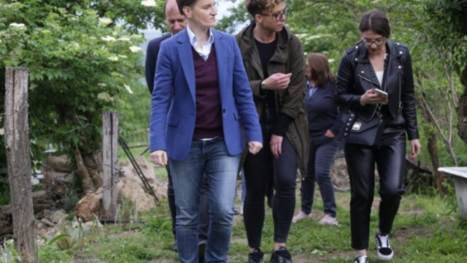 Ana Brnabić; Babušnica