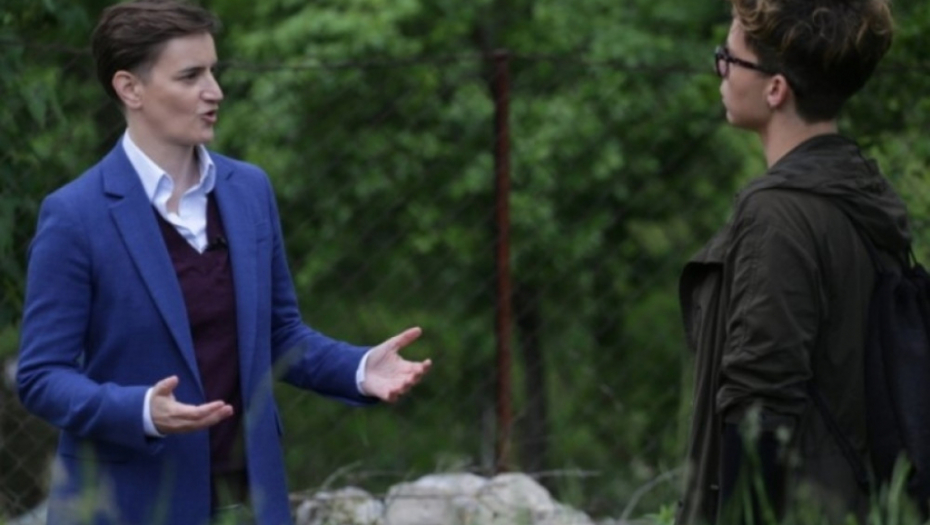 Ana Brnabić; Babušnica