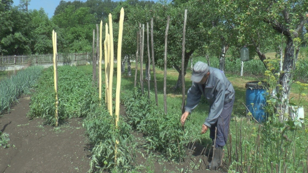 Stra&scaron;no nevreme uni&scaron;tilo useve