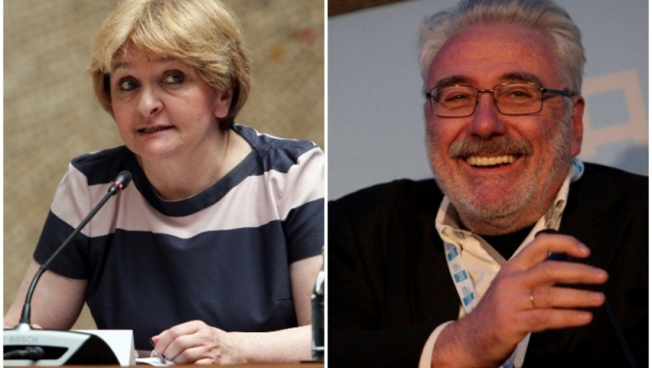 Danica Grujičić, Branimir Nestorović