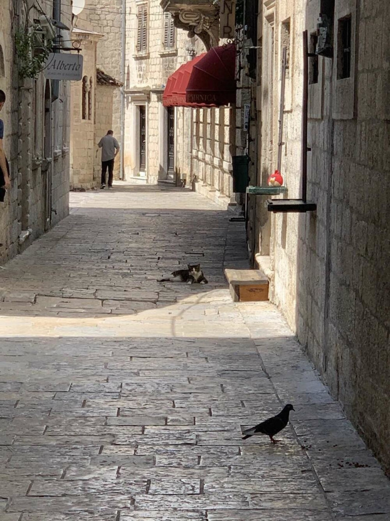 Pusto crnogorsko primorje