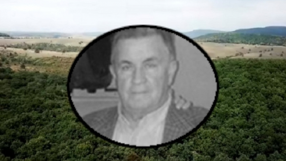 Zoran Miladinović