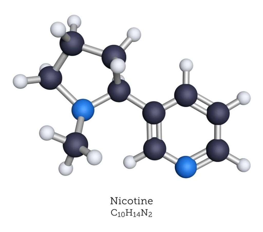 Nikotin