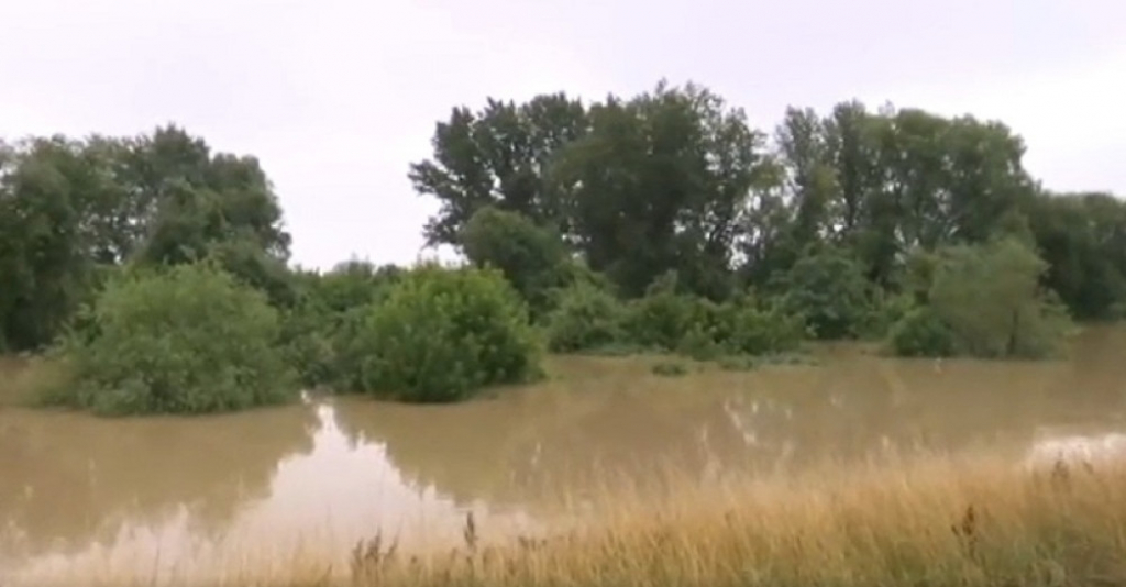 Tami&scaron; kod Ja&scaron;e Tomića