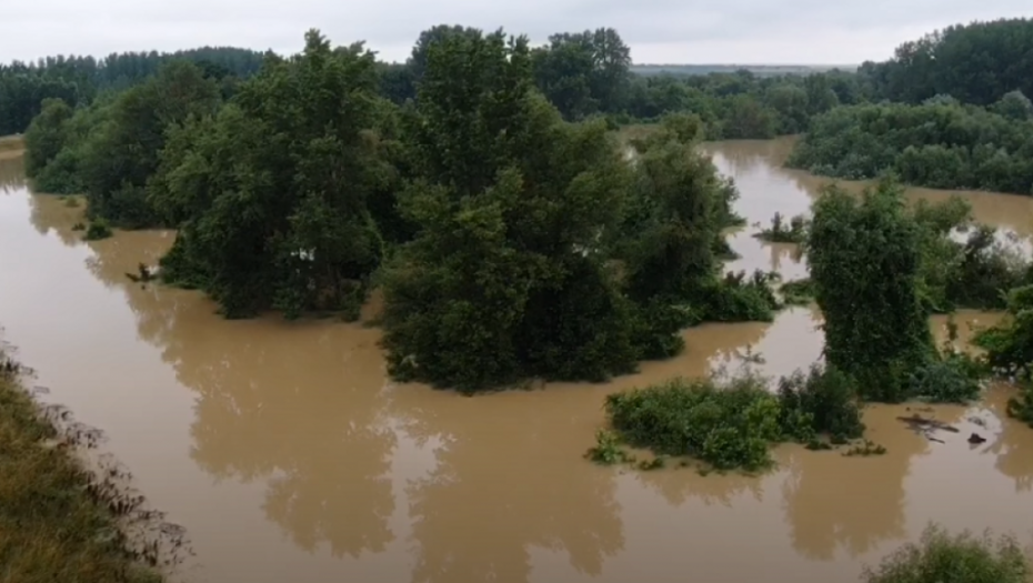 Tamiš kod Jaše Tomića