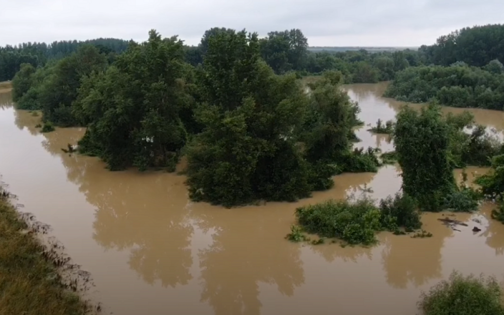 Tami&scaron; kod Ja&scaron;e Tomića