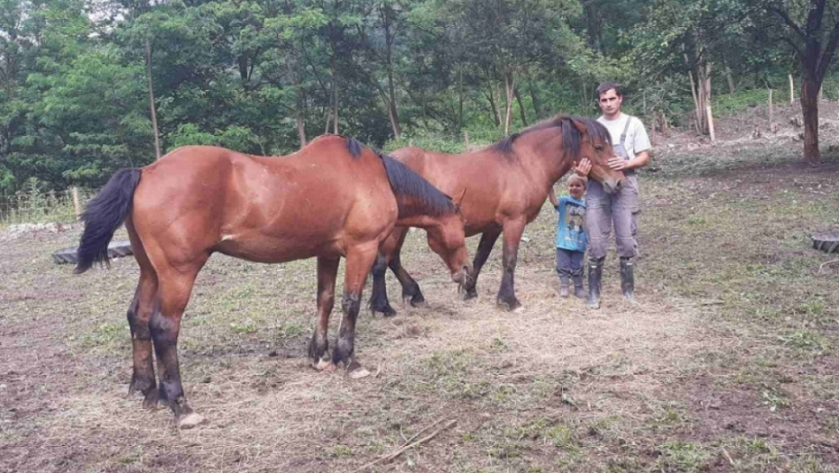 Konji, porodica Milosavljević, poplava, potop