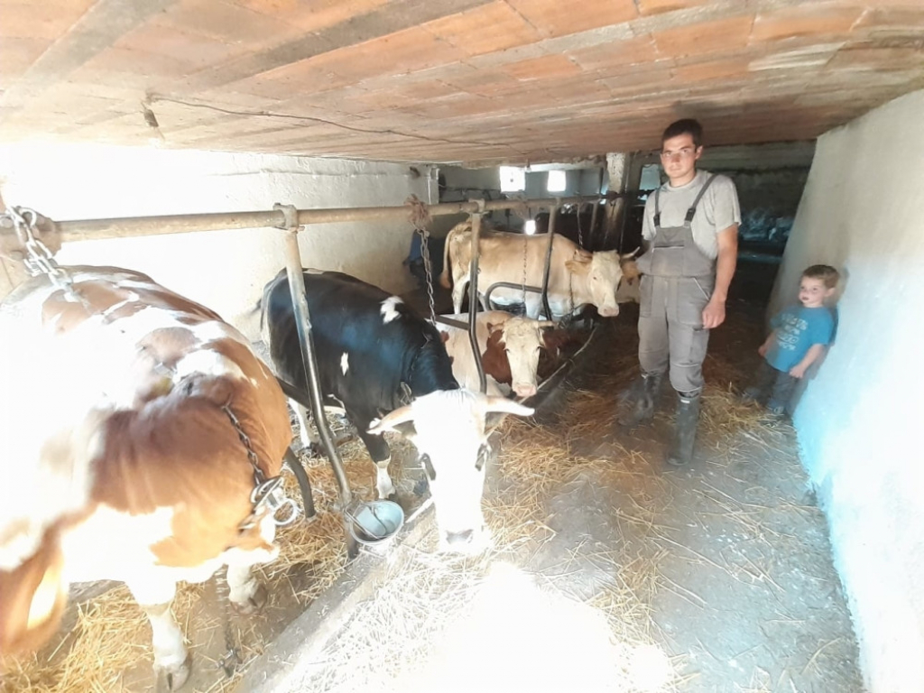 Veljko Milosavljević iz Dljina