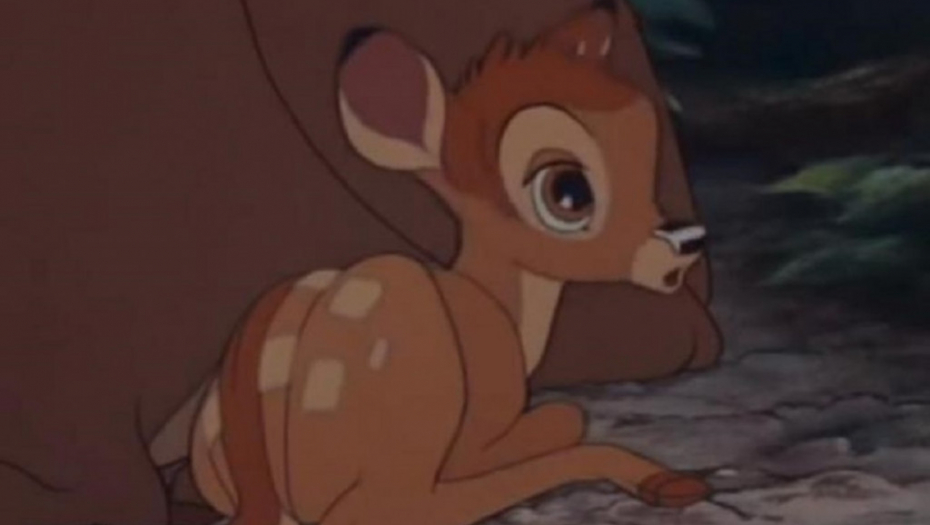 bambi