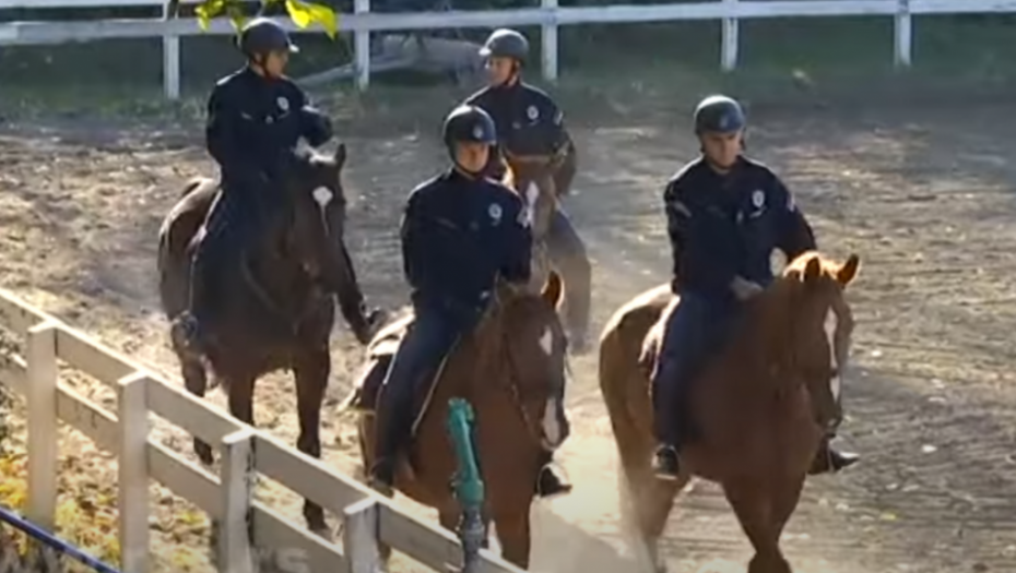 Policija na konjima