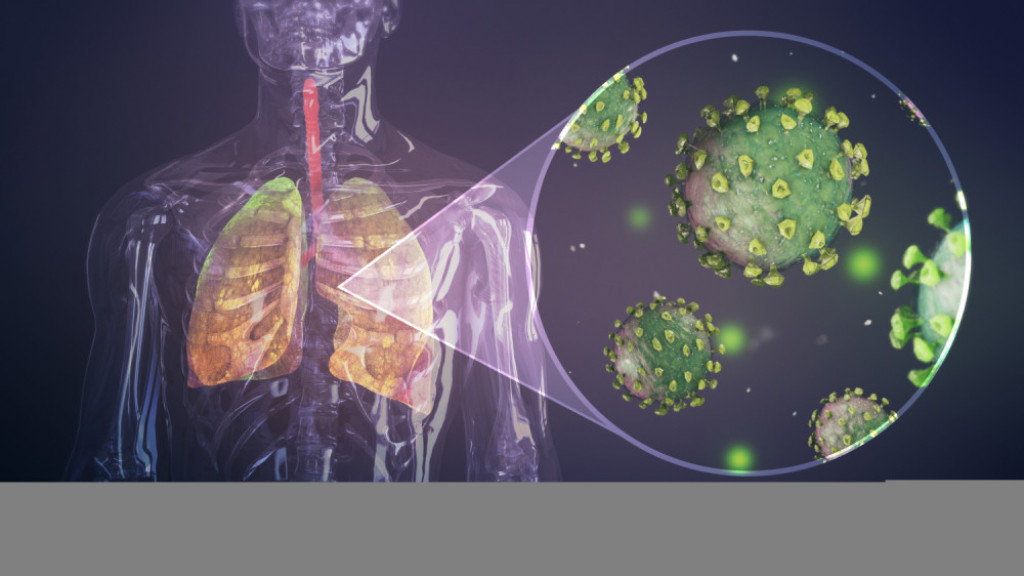 korona, pluća