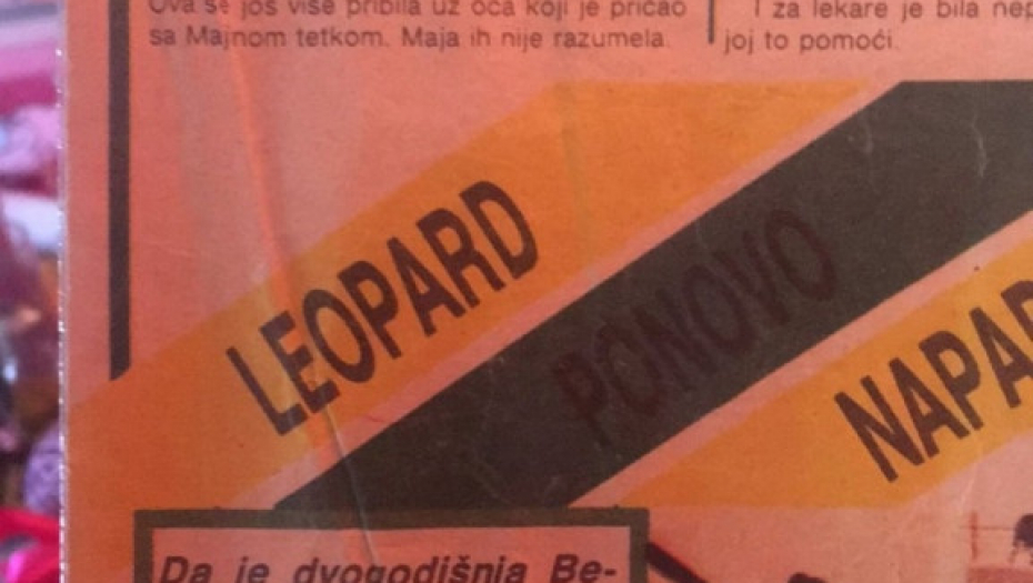 maja grčić branka grčić aćimović