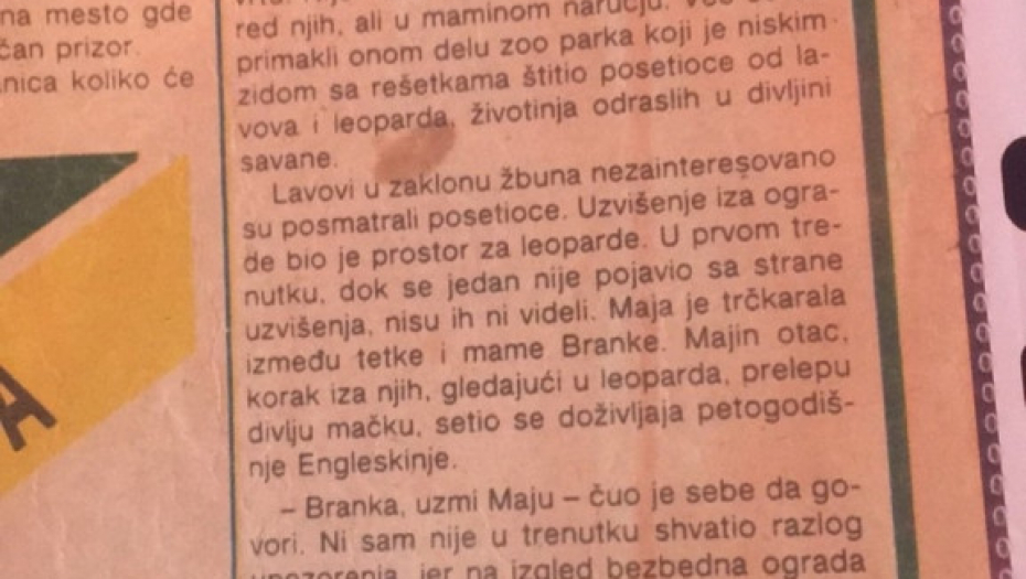 maja grčić branka grčić aćimović