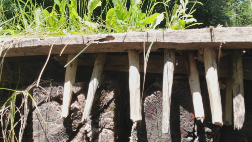 Rade Jevremović , iscelitelj