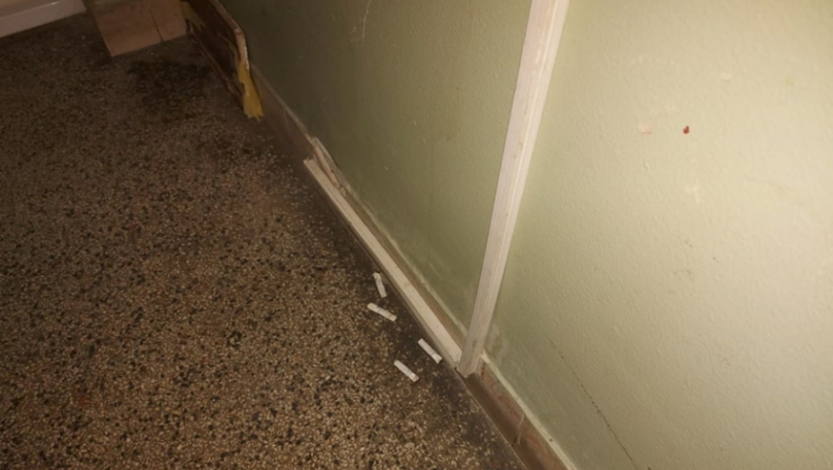 Ubistvo u Deligradskoj ulici