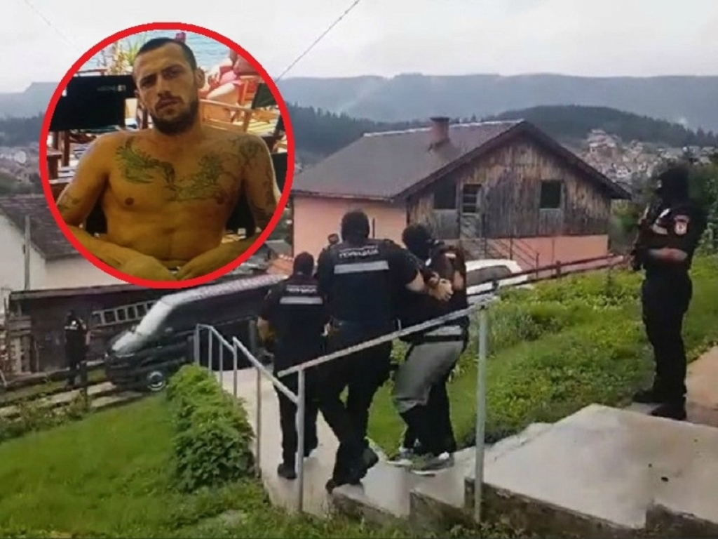 Hap&scaron;enje Nikole Ivovića