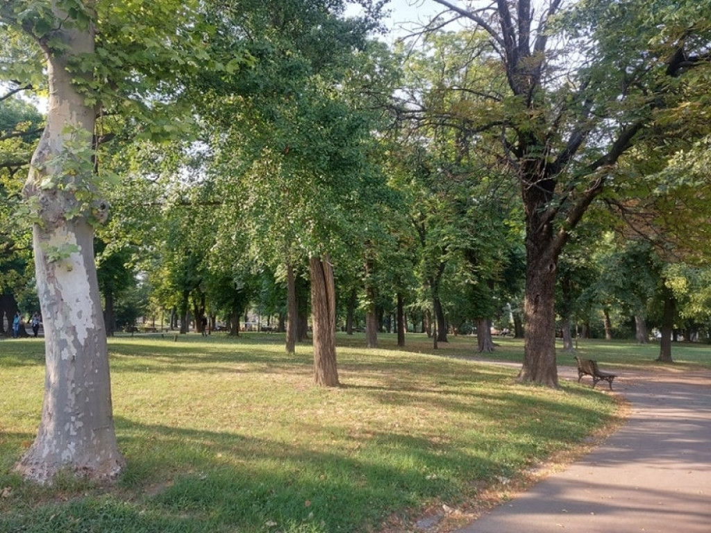 Kalemegdan, priroda, zelenilo