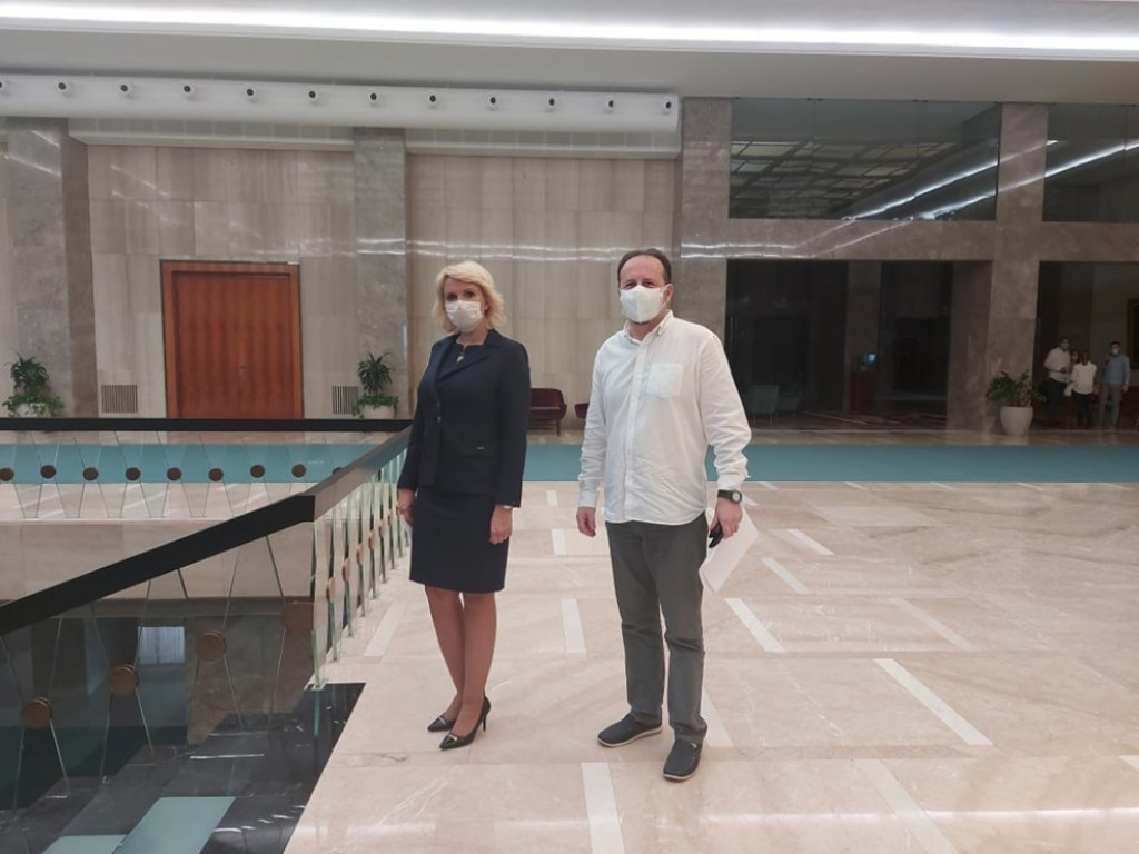 Darija Kisić Tepavčević i Petar Svorcan