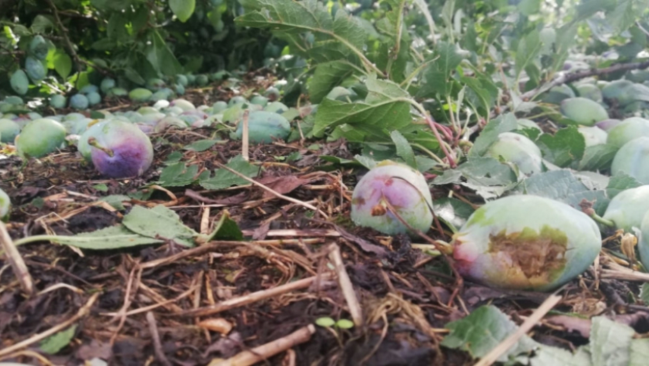 Nevreme u Ivanjivci, Ivanjica