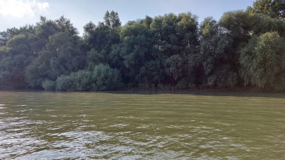 Reka Sava