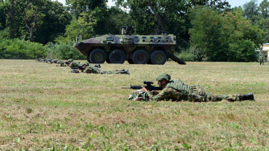 Aleksandar Vulin; Vojska Srbije