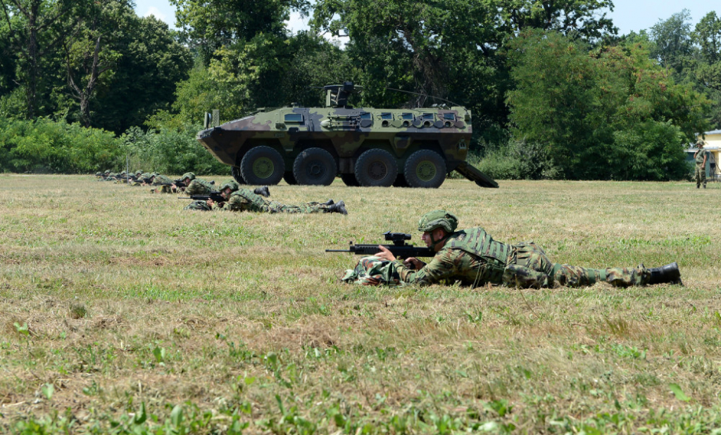 Aleksandar Vulin; Vojska Srbije
