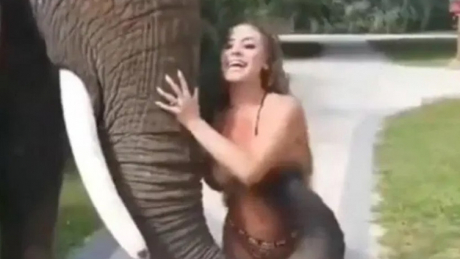 Prsata devojka i slon