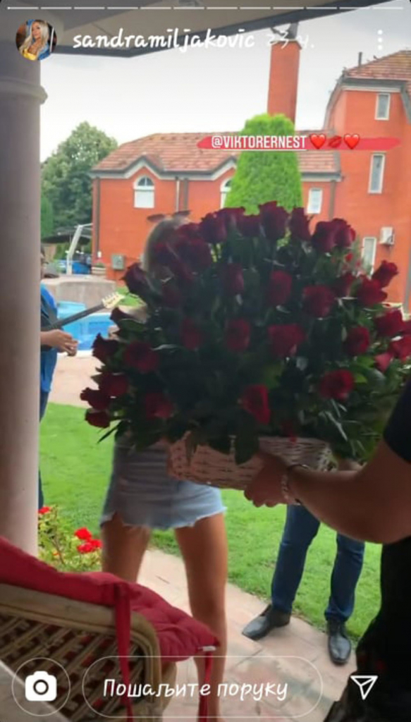 Viktor Živojinović 