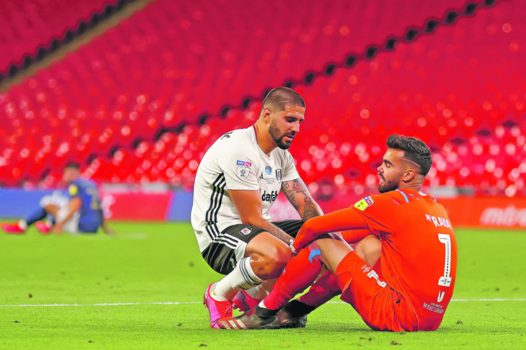 Aleksandar Mitrović