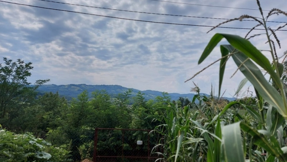 tikvice - kukuruz - poljoprivreda