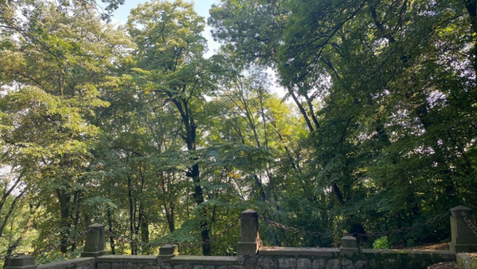 Košutnjak, Mihailo Obrenović