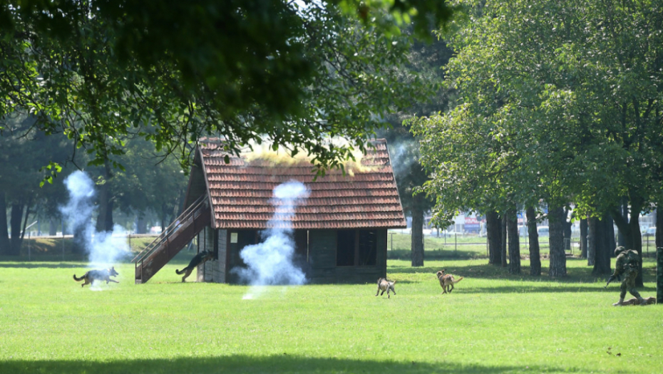 Aleksandar Vulin ; Vojska Srbije