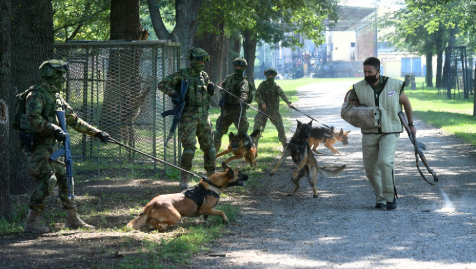 Aleksandar Vulin ; Vojska Srbije