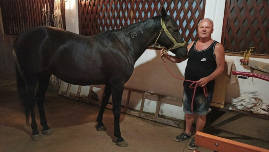 Nađen odbegli konj Felza