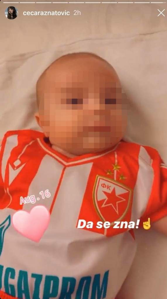 Željko Ražnatović