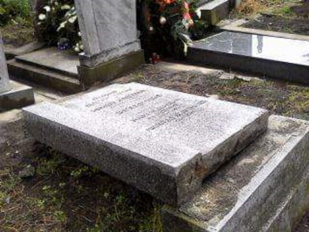 Spomenik koji se sru&scaron;io na Maju Grčić