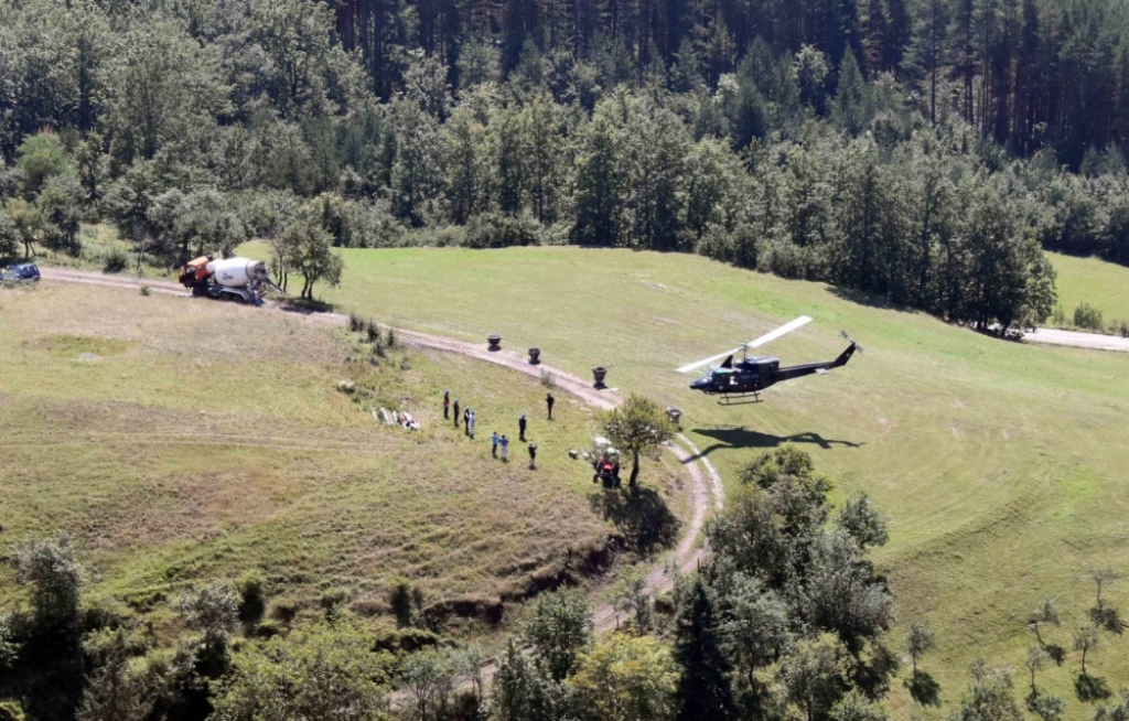 Nebojša Stefanović