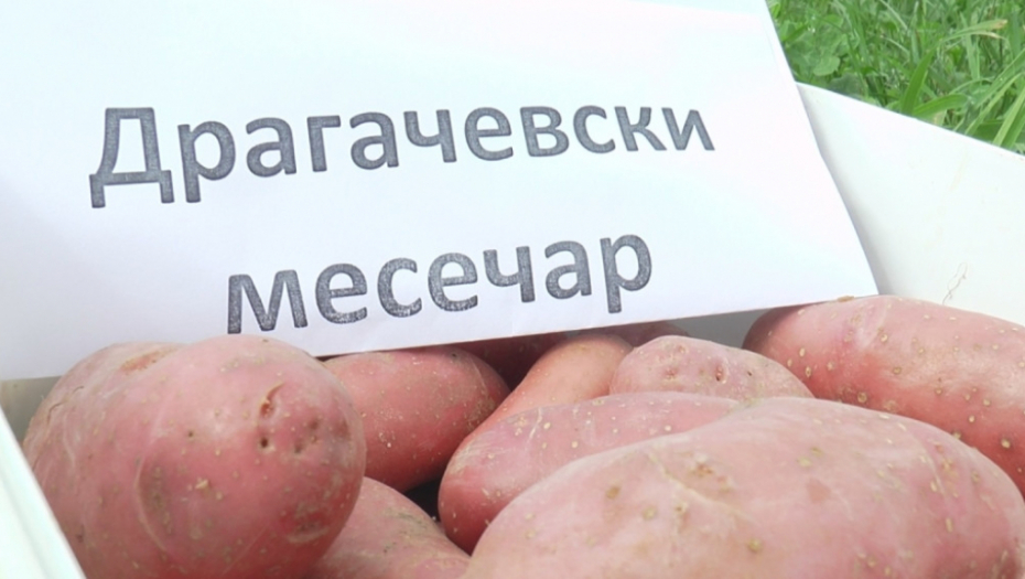 Dragačevski krompir