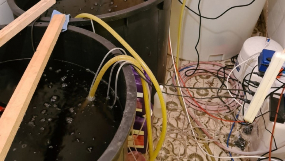 Laboratorija, marihuana, trava