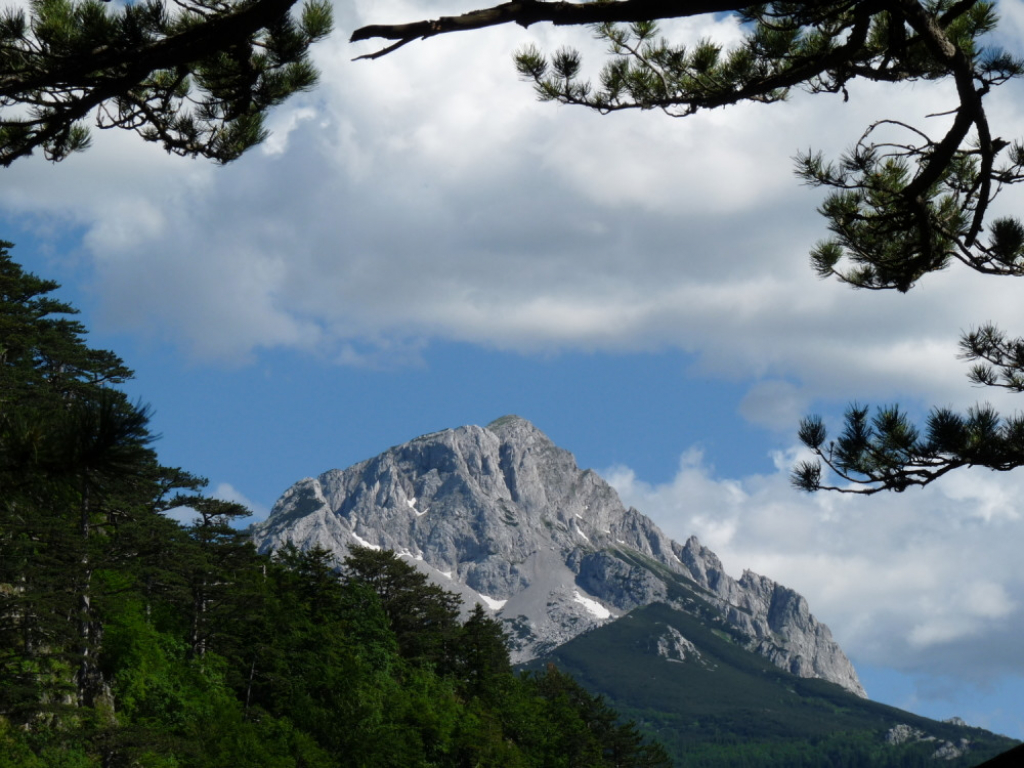 Maglić planina, priroda, planinar, planinari