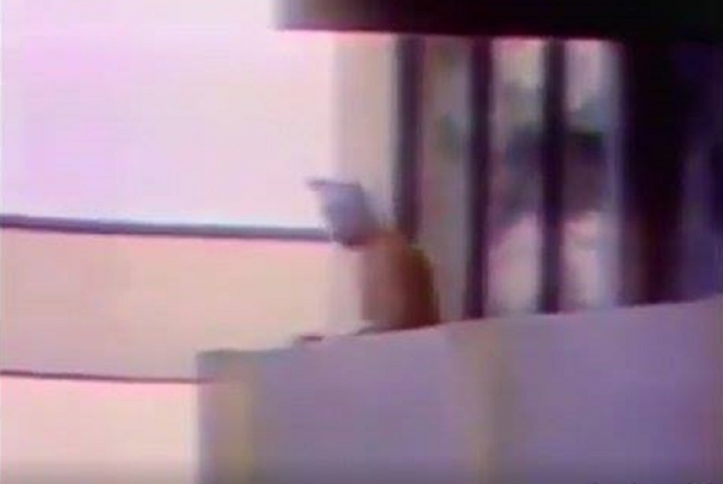 Terorizam Minhen 1972