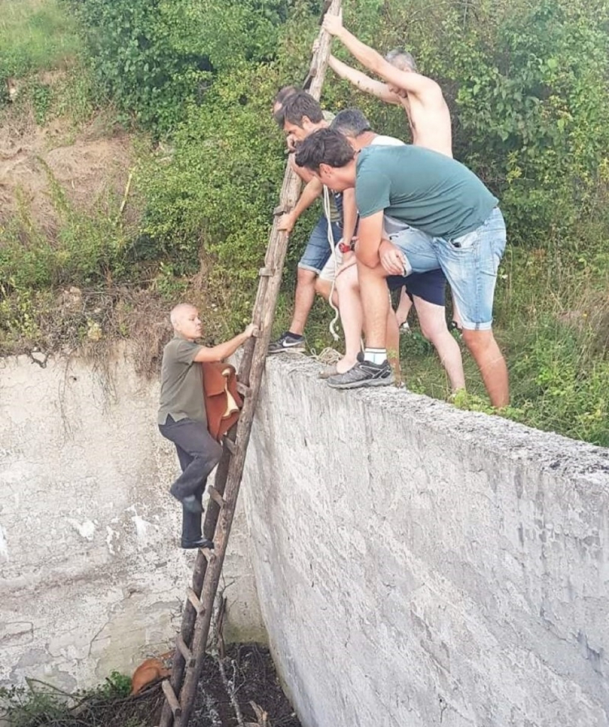 Srndać je na svu sreću spašen